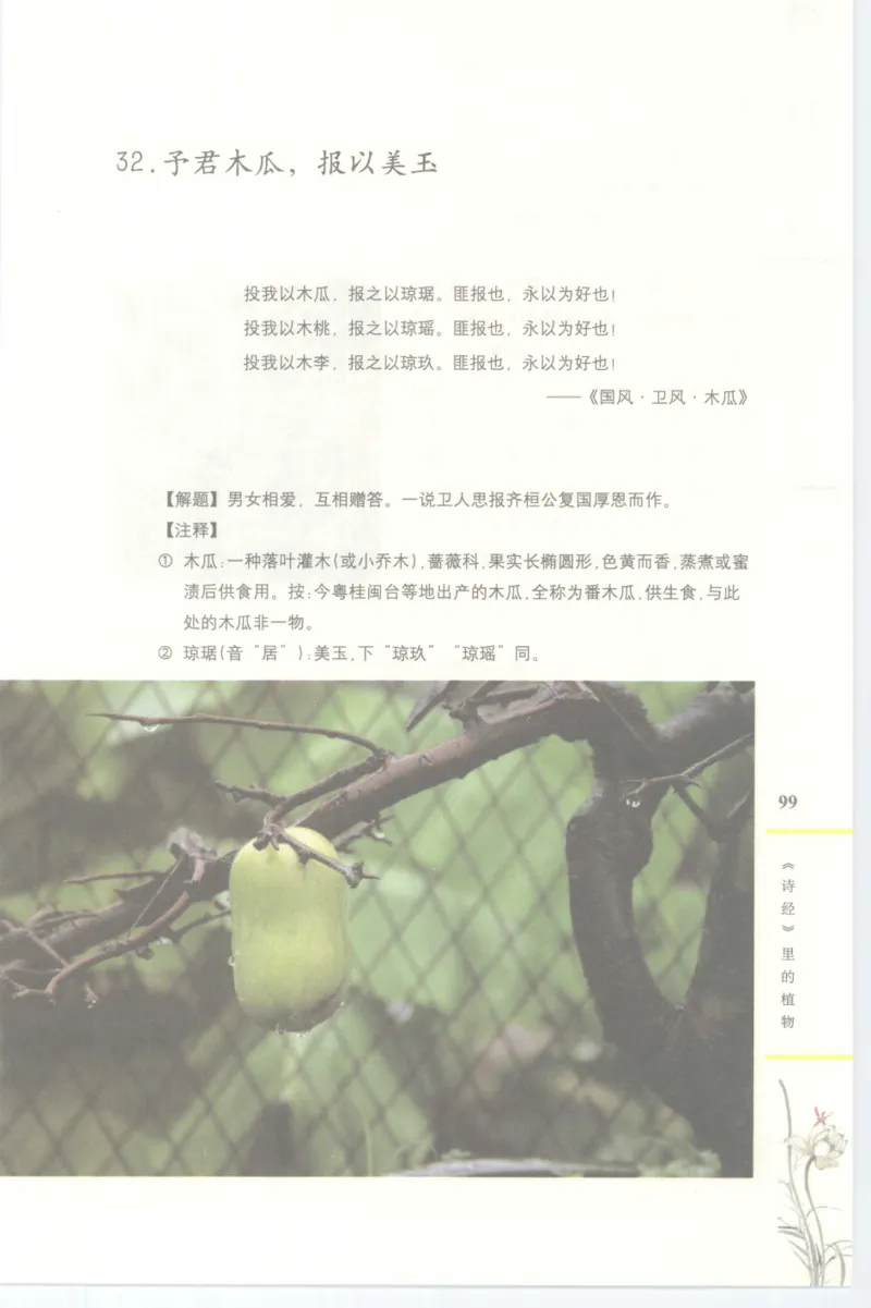 37.《美人如诗草木如织：诗经里的植物》[深圳一石编著][天津教育出版社][978-7-5309-4931-3][2007.7][P221]_绝版书_天涯系列_t涯_《天涯神贴去水印纯干货收藏版-汇总版》天涯的干货[pdf]