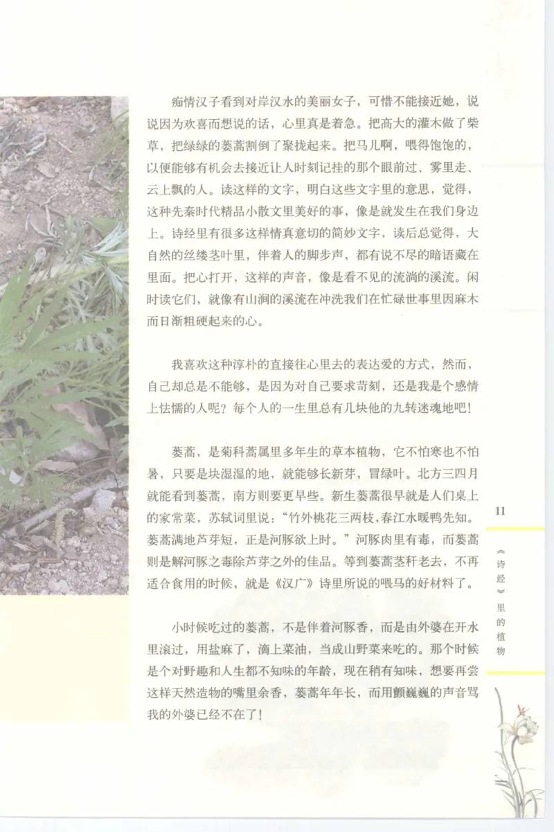 37.《美人如诗草木如织：诗经里的植物》[深圳一石编著][天津教育出版社][978-7-5309-4931-3][2007.7][P221]_绝版书_天涯系列_t涯_《天涯神贴去水印纯干货收藏版-汇总版》天涯的干货[pdf]