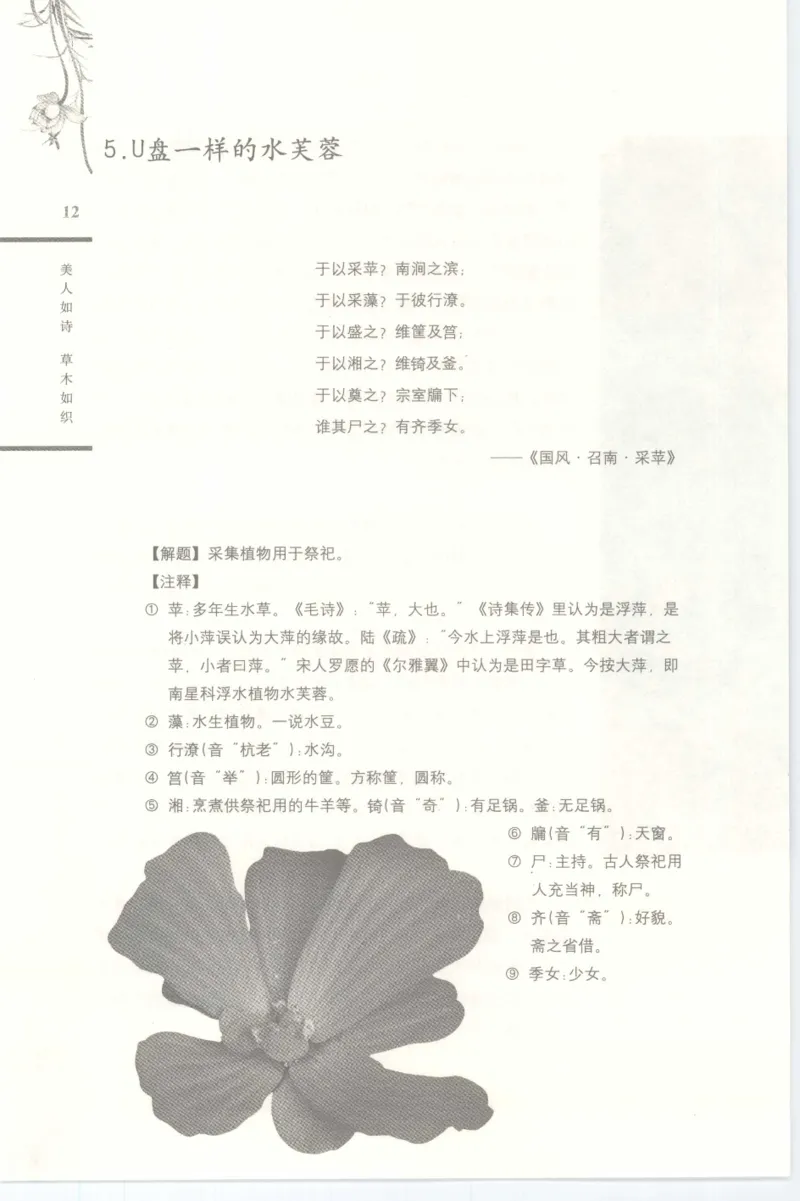 37.《美人如诗草木如织：诗经里的植物》[深圳一石编著][天津教育出版社][978-7-5309-4931-3][2007.7][P221]_绝版书_天涯系列_t涯_《天涯神贴去水印纯干货收藏版-汇总版》天涯的干货[pdf]