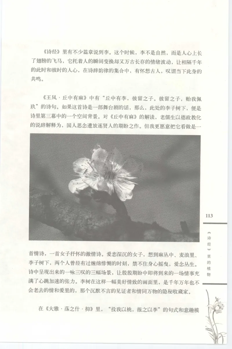 37.《美人如诗草木如织：诗经里的植物》[深圳一石编著][天津教育出版社][978-7-5309-4931-3][2007.7][P221]_绝版书_天涯系列_t涯_《天涯神贴去水印纯干货收藏版-汇总版》天涯的干货[pdf]