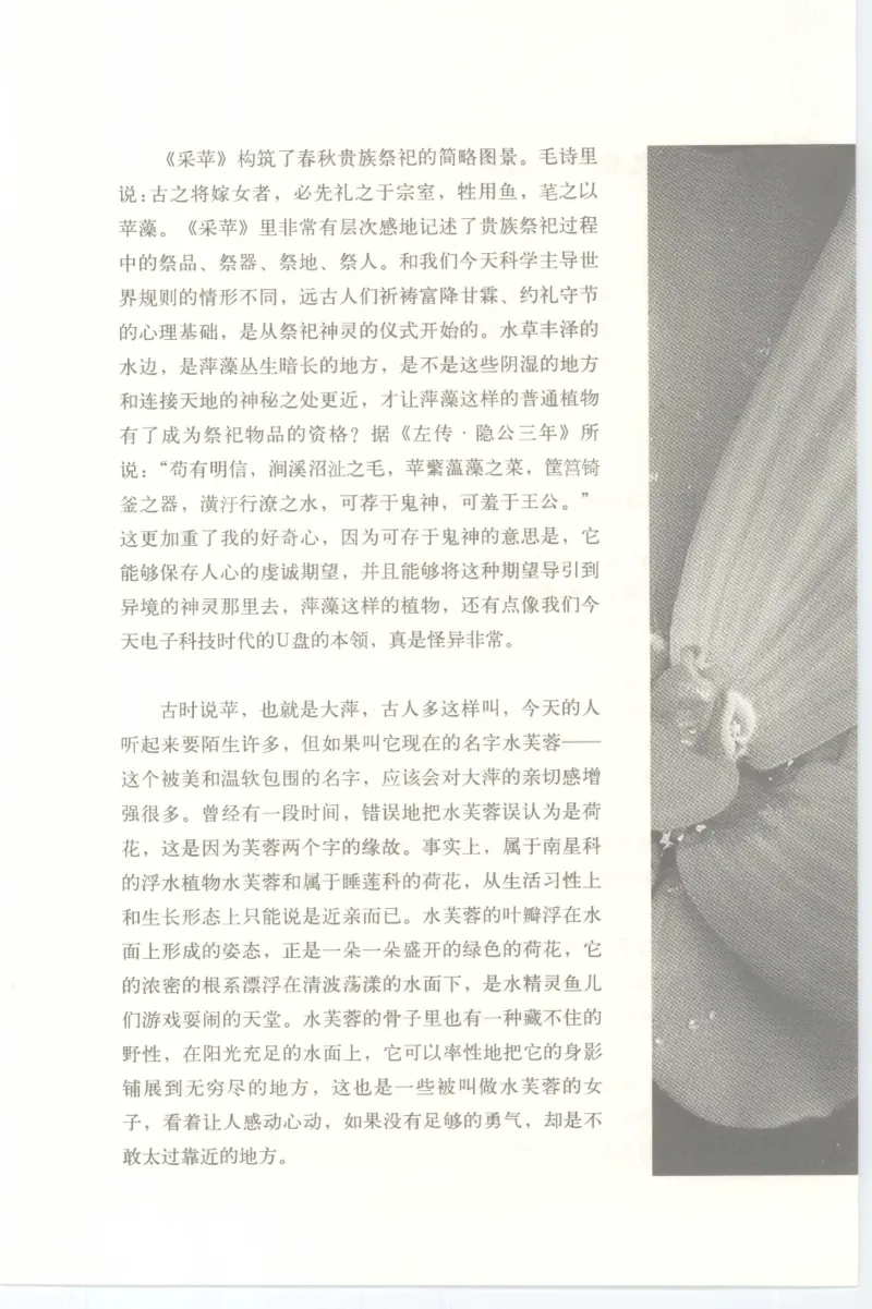 37.《美人如诗草木如织：诗经里的植物》[深圳一石编著][天津教育出版社][978-7-5309-4931-3][2007.7][P221]_绝版书_天涯系列_t涯_《天涯神贴去水印纯干货收藏版-汇总版》天涯的干货[pdf]