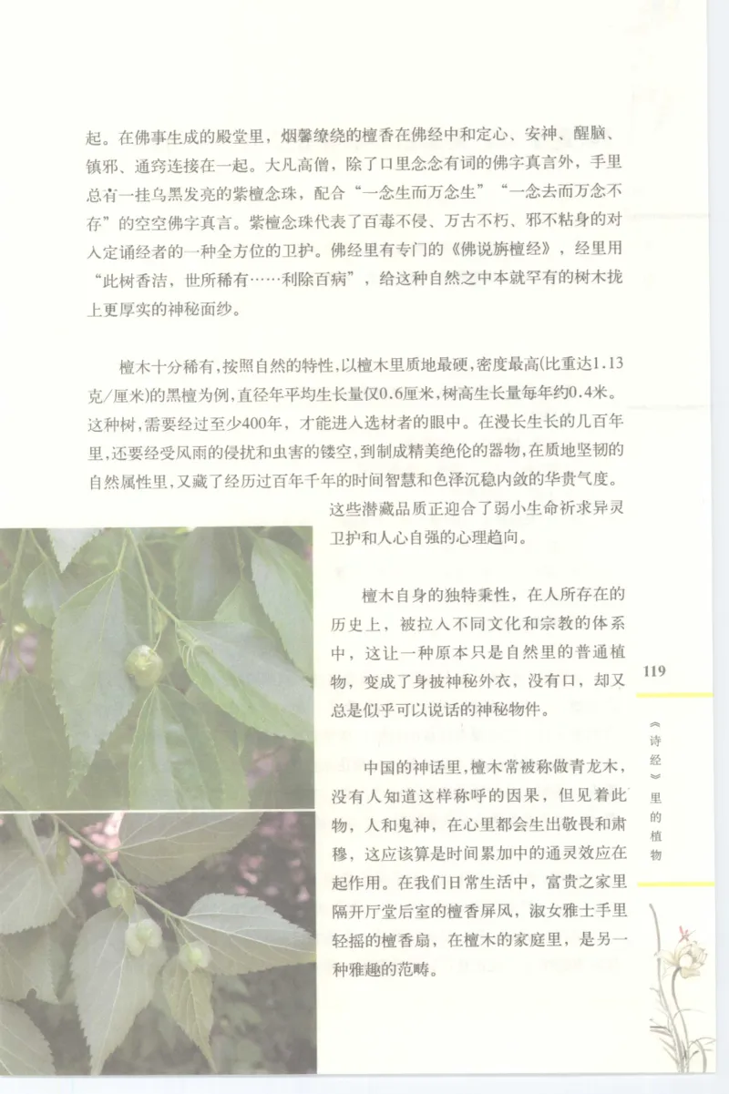 37.《美人如诗草木如织：诗经里的植物》[深圳一石编著][天津教育出版社][978-7-5309-4931-3][2007.7][P221]_绝版书_天涯系列_t涯_《天涯神贴去水印纯干货收藏版-汇总版》天涯的干货[pdf]