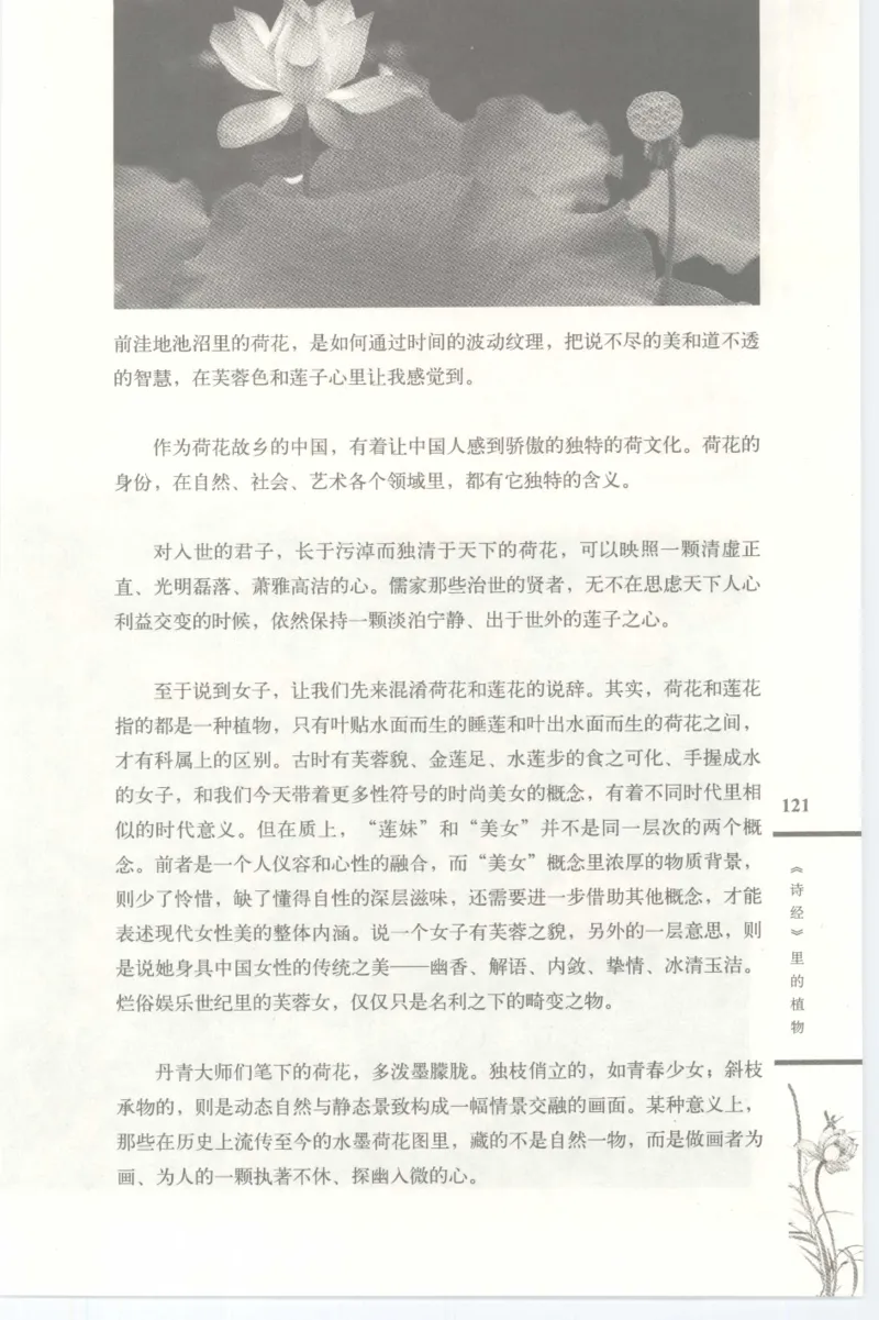 37.《美人如诗草木如织：诗经里的植物》[深圳一石编著][天津教育出版社][978-7-5309-4931-3][2007.7][P221]_绝版书_天涯系列_t涯_《天涯神贴去水印纯干货收藏版-汇总版》天涯的干货[pdf]