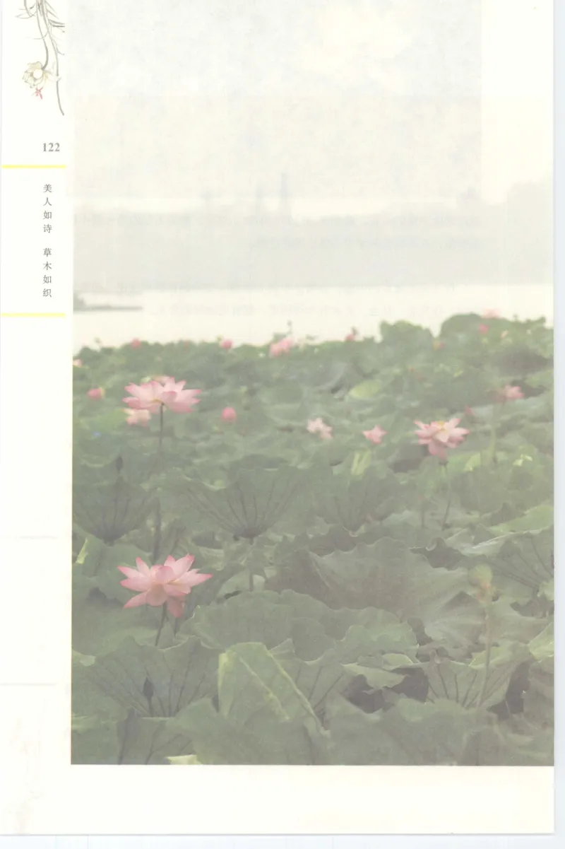 37.《美人如诗草木如织：诗经里的植物》[深圳一石编著][天津教育出版社][978-7-5309-4931-3][2007.7][P221]_绝版书_天涯系列_t涯_《天涯神贴去水印纯干货收藏版-汇总版》天涯的干货[pdf]