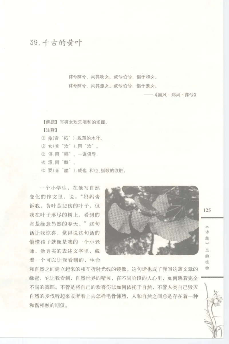 37.《美人如诗草木如织：诗经里的植物》[深圳一石编著][天津教育出版社][978-7-5309-4931-3][2007.7][P221]_绝版书_天涯系列_t涯_《天涯神贴去水印纯干货收藏版-汇总版》天涯的干货[pdf]