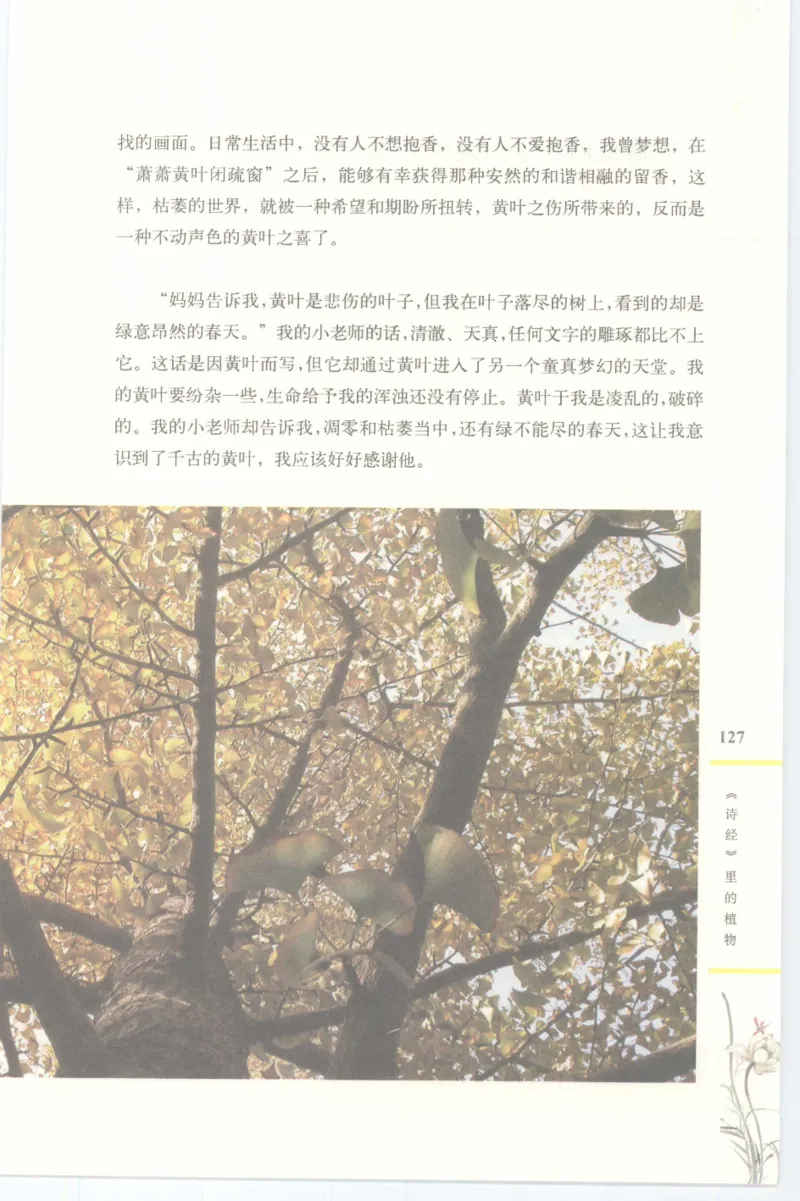 37.《美人如诗草木如织：诗经里的植物》[深圳一石编著][天津教育出版社][978-7-5309-4931-3][2007.7][P221]_绝版书_天涯系列_t涯_《天涯神贴去水印纯干货收藏版-汇总版》天涯的干货[pdf]