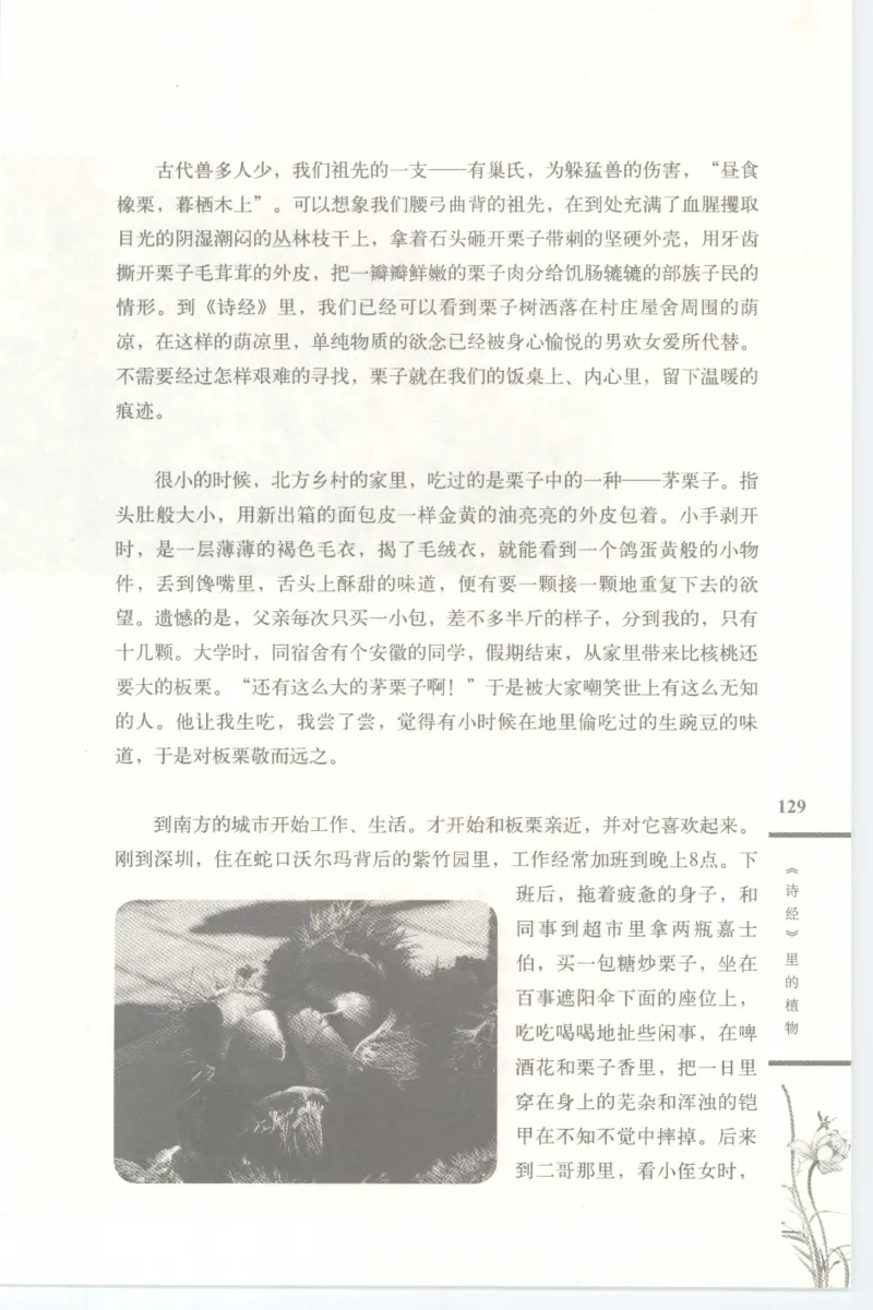 37.《美人如诗草木如织：诗经里的植物》[深圳一石编著][天津教育出版社][978-7-5309-4931-3][2007.7][P221]_绝版书_天涯系列_t涯_《天涯神贴去水印纯干货收藏版-汇总版》天涯的干货[pdf]