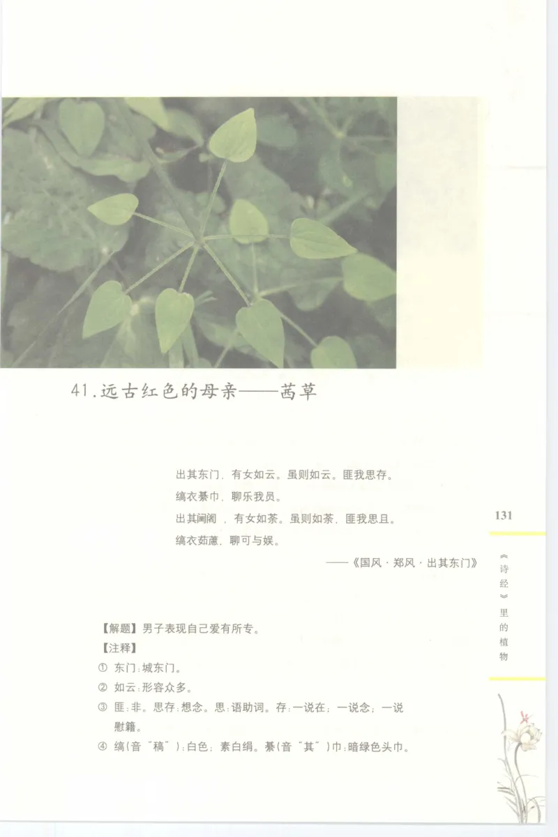 37.《美人如诗草木如织：诗经里的植物》[深圳一石编著][天津教育出版社][978-7-5309-4931-3][2007.7][P221]_绝版书_天涯系列_t涯_《天涯神贴去水印纯干货收藏版-汇总版》天涯的干货[pdf]