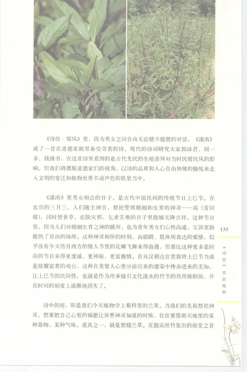 37.《美人如诗草木如织：诗经里的植物》[深圳一石编著][天津教育出版社][978-7-5309-4931-3][2007.7][P221]_绝版书_天涯系列_t涯_《天涯神贴去水印纯干货收藏版-汇总版》天涯的干货[pdf]