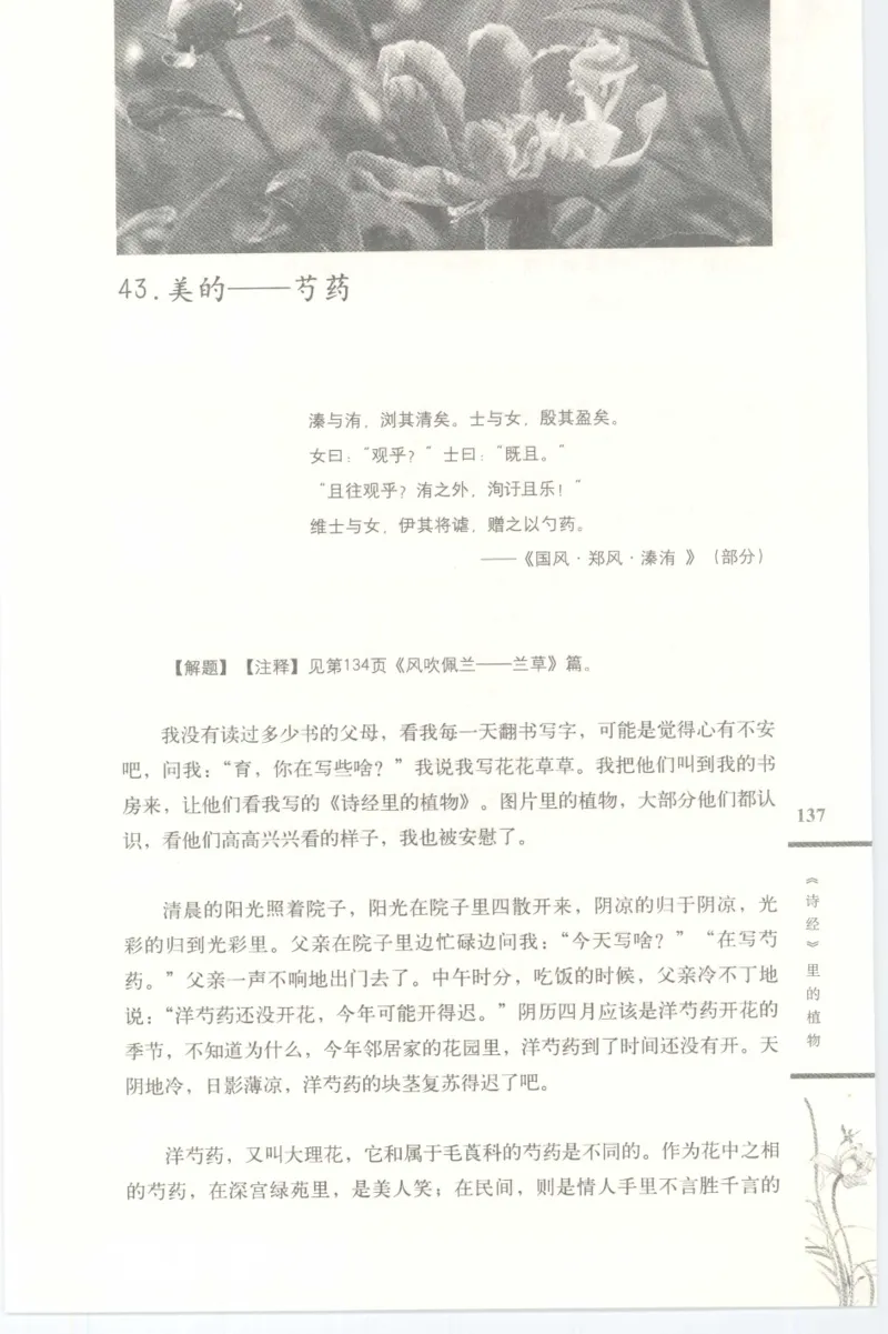37.《美人如诗草木如织：诗经里的植物》[深圳一石编著][天津教育出版社][978-7-5309-4931-3][2007.7][P221]_绝版书_天涯系列_t涯_《天涯神贴去水印纯干货收藏版-汇总版》天涯的干货[pdf]