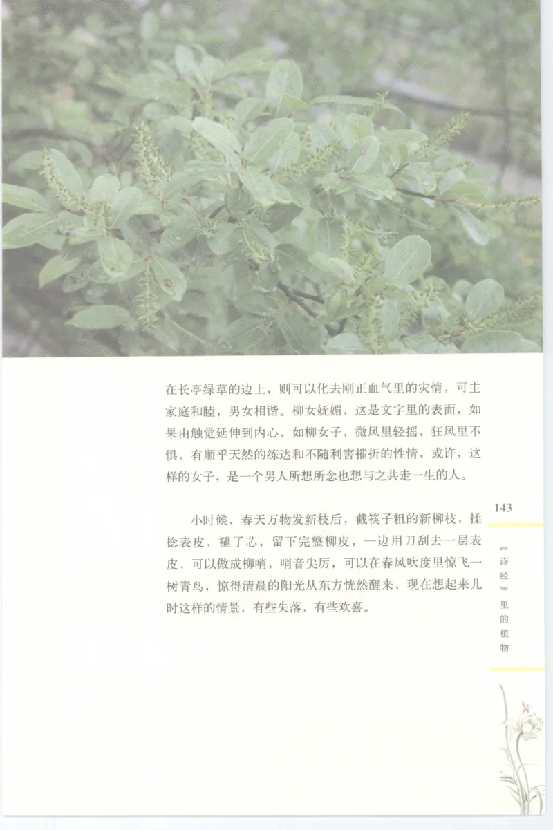 37.《美人如诗草木如织：诗经里的植物》[深圳一石编著][天津教育出版社][978-7-5309-4931-3][2007.7][P221]_绝版书_天涯系列_t涯_《天涯神贴去水印纯干货收藏版-汇总版》天涯的干货[pdf]