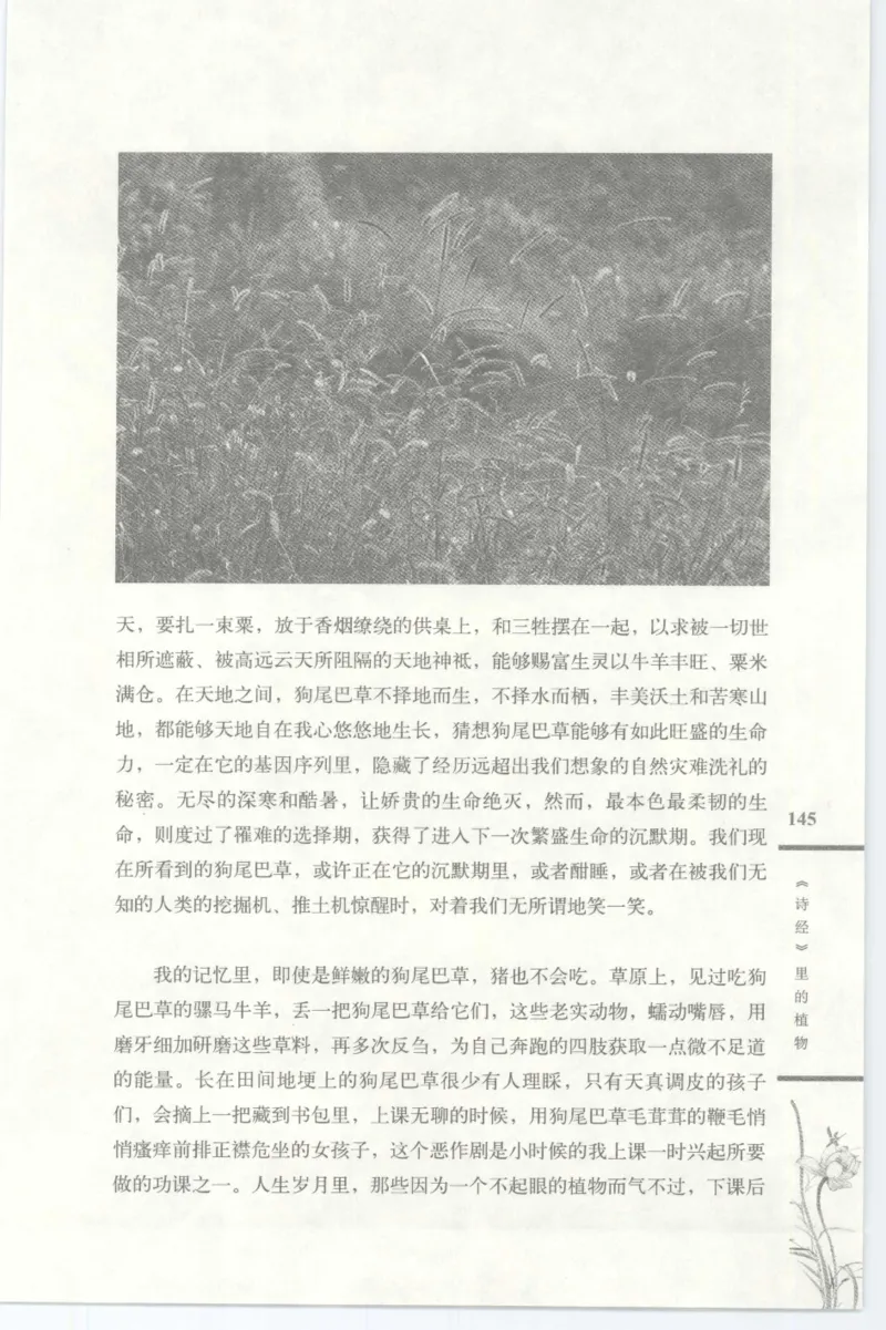 37.《美人如诗草木如织：诗经里的植物》[深圳一石编著][天津教育出版社][978-7-5309-4931-3][2007.7][P221]_绝版书_天涯系列_t涯_《天涯神贴去水印纯干货收藏版-汇总版》天涯的干货[pdf]