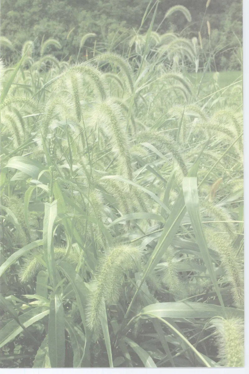 37.《美人如诗草木如织：诗经里的植物》[深圳一石编著][天津教育出版社][978-7-5309-4931-3][2007.7][P221]_绝版书_天涯系列_t涯_《天涯神贴去水印纯干货收藏版-汇总版》天涯的干货[pdf]