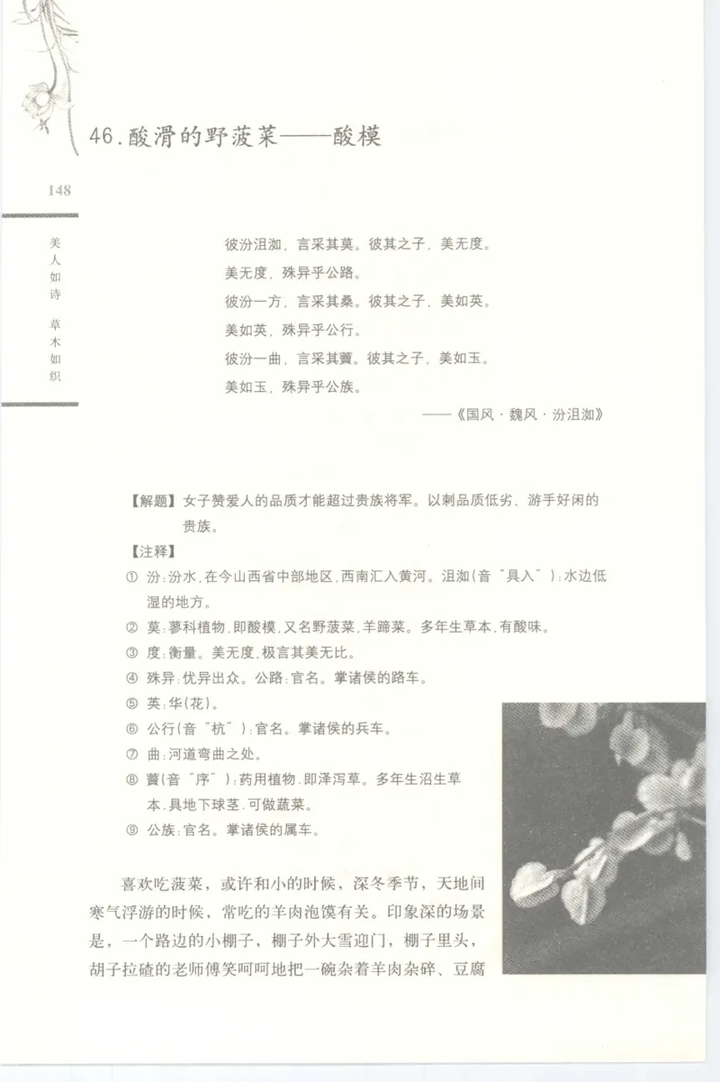 37.《美人如诗草木如织：诗经里的植物》[深圳一石编著][天津教育出版社][978-7-5309-4931-3][2007.7][P221]_绝版书_天涯系列_t涯_《天涯神贴去水印纯干货收藏版-汇总版》天涯的干货[pdf]
