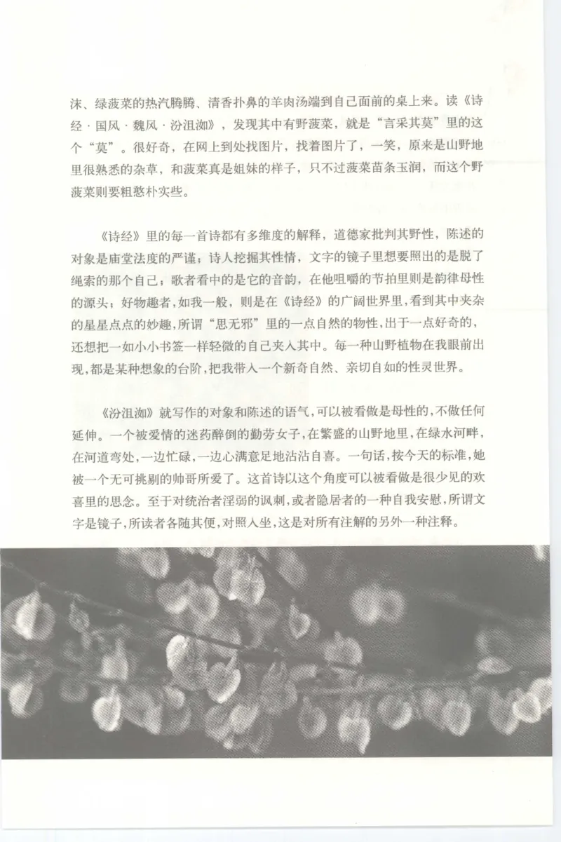 37.《美人如诗草木如织：诗经里的植物》[深圳一石编著][天津教育出版社][978-7-5309-4931-3][2007.7][P221]_绝版书_天涯系列_t涯_《天涯神贴去水印纯干货收藏版-汇总版》天涯的干货[pdf]