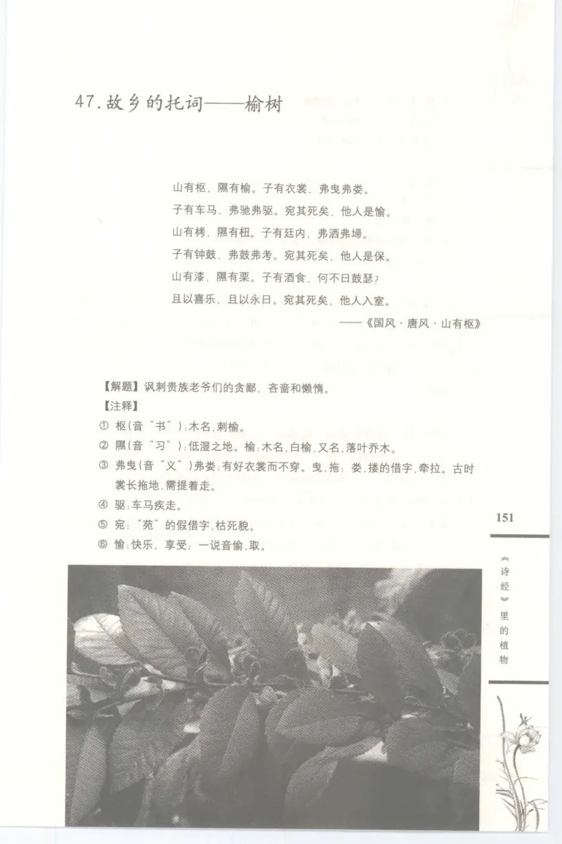 37.《美人如诗草木如织：诗经里的植物》[深圳一石编著][天津教育出版社][978-7-5309-4931-3][2007.7][P221]_绝版书_天涯系列_t涯_《天涯神贴去水印纯干货收藏版-汇总版》天涯的干货[pdf]