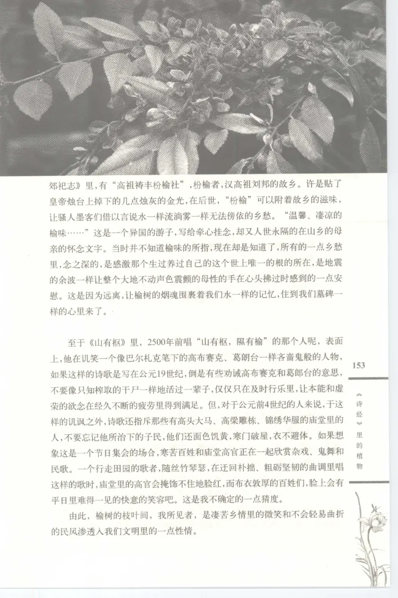 37.《美人如诗草木如织：诗经里的植物》[深圳一石编著][天津教育出版社][978-7-5309-4931-3][2007.7][P221]_绝版书_天涯系列_t涯_《天涯神贴去水印纯干货收藏版-汇总版》天涯的干货[pdf]