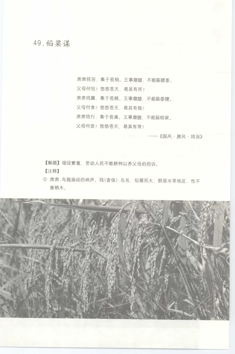 37.《美人如诗草木如织：诗经里的植物》[深圳一石编著][天津教育出版社][978-7-5309-4931-3][2007.7][P221]_绝版书_天涯系列_t涯_《天涯神贴去水印纯干货收藏版-汇总版》天涯的干货[pdf]