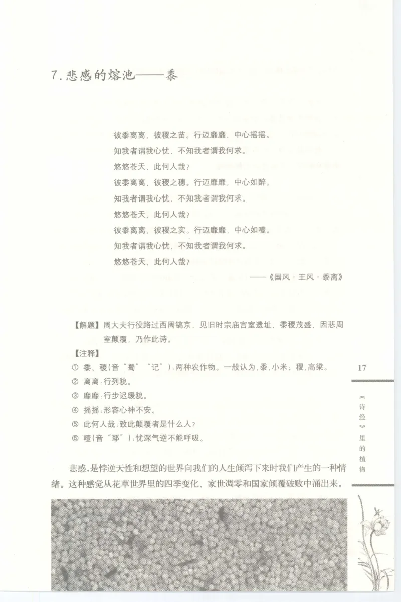 37.《美人如诗草木如织：诗经里的植物》[深圳一石编著][天津教育出版社][978-7-5309-4931-3][2007.7][P221]_绝版书_天涯系列_t涯_《天涯神贴去水印纯干货收藏版-汇总版》天涯的干货[pdf]