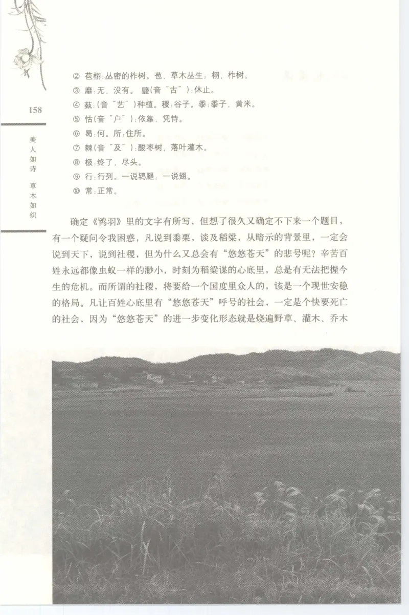 37.《美人如诗草木如织：诗经里的植物》[深圳一石编著][天津教育出版社][978-7-5309-4931-3][2007.7][P221]_绝版书_天涯系列_t涯_《天涯神贴去水印纯干货收藏版-汇总版》天涯的干货[pdf]