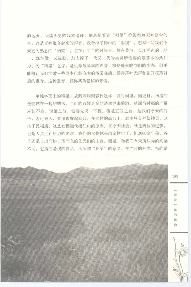 37.《美人如诗草木如织：诗经里的植物》[深圳一石编著][天津教育出版社][978-7-5309-4931-3][2007.7][P221]_绝版书_天涯系列_t涯_《天涯神贴去水印纯干货收藏版-汇总版》天涯的干货[pdf]