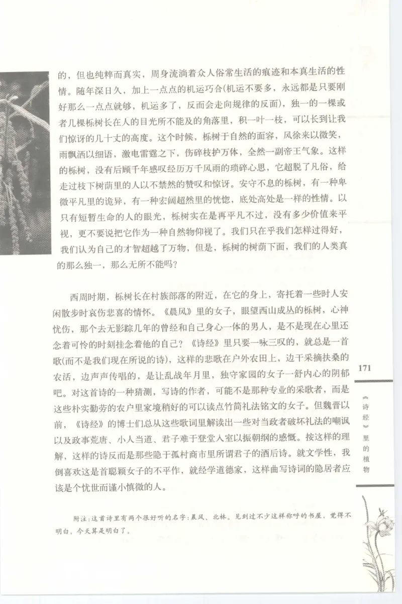 37.《美人如诗草木如织：诗经里的植物》[深圳一石编著][天津教育出版社][978-7-5309-4931-3][2007.7][P221]_绝版书_天涯系列_t涯_《天涯神贴去水印纯干货收藏版-汇总版》天涯的干货[pdf]