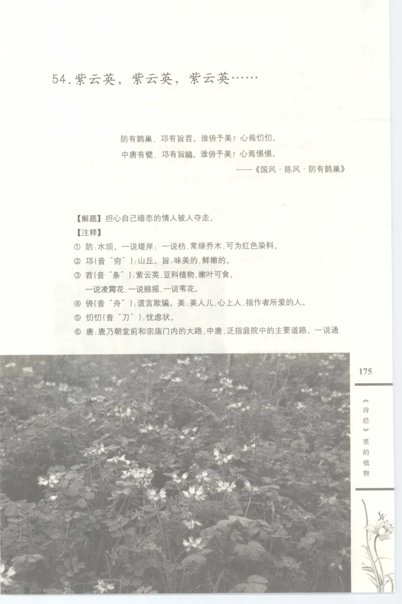 37.《美人如诗草木如织：诗经里的植物》[深圳一石编著][天津教育出版社][978-7-5309-4931-3][2007.7][P221]_绝版书_天涯系列_t涯_《天涯神贴去水印纯干货收藏版-汇总版》天涯的干货[pdf]