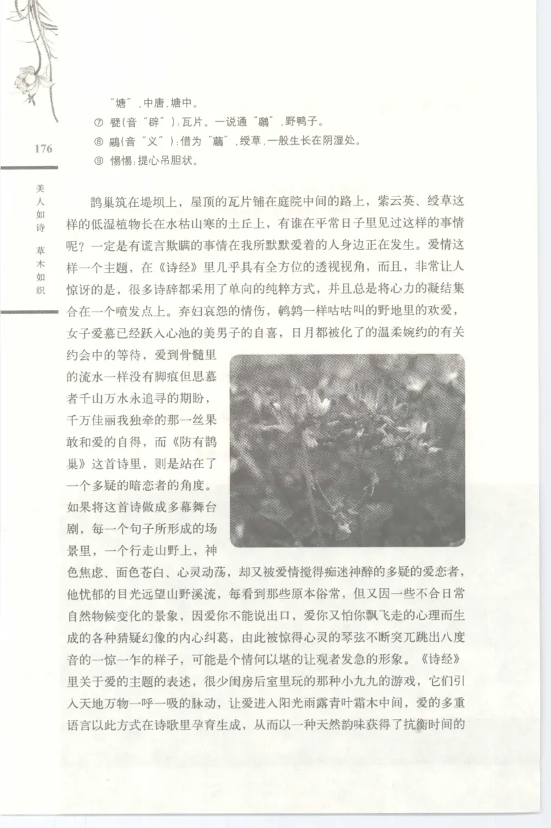 37.《美人如诗草木如织：诗经里的植物》[深圳一石编著][天津教育出版社][978-7-5309-4931-3][2007.7][P221]_绝版书_天涯系列_t涯_《天涯神贴去水印纯干货收藏版-汇总版》天涯的干货[pdf]