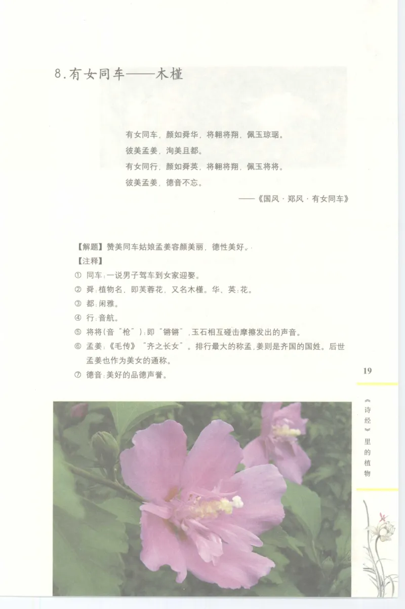 37.《美人如诗草木如织：诗经里的植物》[深圳一石编著][天津教育出版社][978-7-5309-4931-3][2007.7][P221]_绝版书_天涯系列_t涯_《天涯神贴去水印纯干货收藏版-汇总版》天涯的干货[pdf]