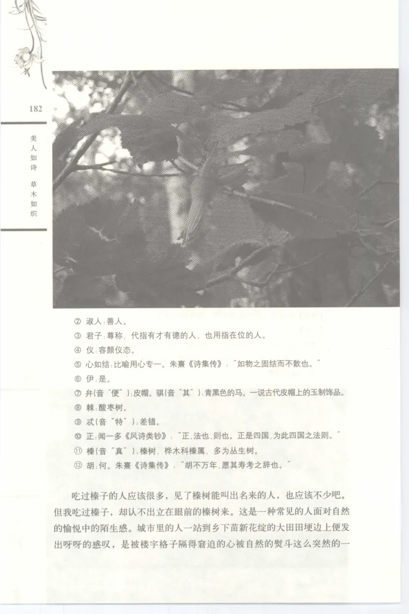 37.《美人如诗草木如织：诗经里的植物》[深圳一石编著][天津教育出版社][978-7-5309-4931-3][2007.7][P221]_绝版书_天涯系列_t涯_《天涯神贴去水印纯干货收藏版-汇总版》天涯的干货[pdf]