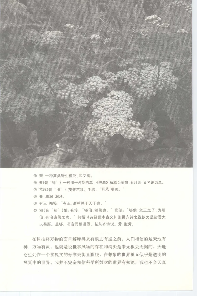 37.《美人如诗草木如织：诗经里的植物》[深圳一石编著][天津教育出版社][978-7-5309-4931-3][2007.7][P221]_绝版书_天涯系列_t涯_《天涯神贴去水印纯干货收藏版-汇总版》天涯的干货[pdf]