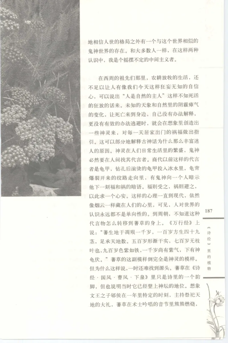 37.《美人如诗草木如织：诗经里的植物》[深圳一石编著][天津教育出版社][978-7-5309-4931-3][2007.7][P221]_绝版书_天涯系列_t涯_《天涯神贴去水印纯干货收藏版-汇总版》天涯的干货[pdf]