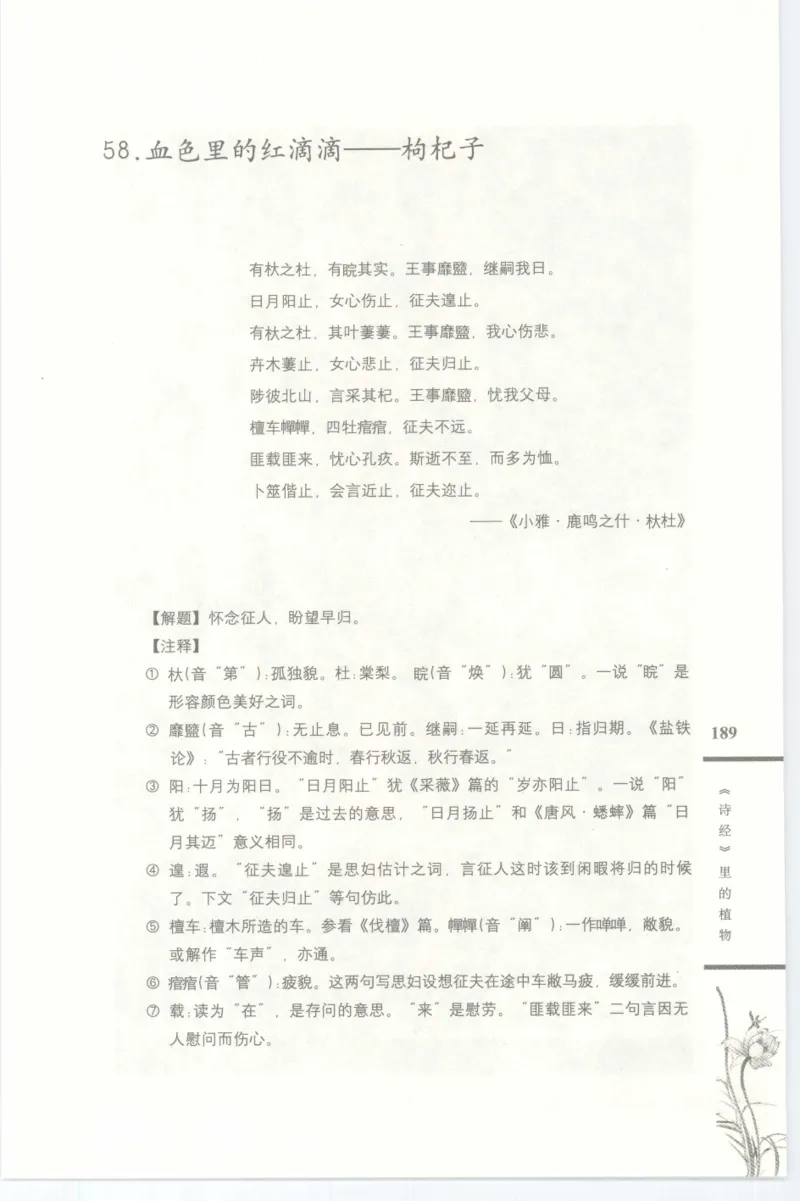 37.《美人如诗草木如织：诗经里的植物》[深圳一石编著][天津教育出版社][978-7-5309-4931-3][2007.7][P221]_绝版书_天涯系列_t涯_《天涯神贴去水印纯干货收藏版-汇总版》天涯的干货[pdf]