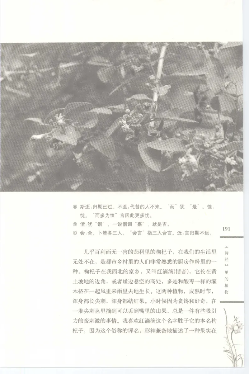 37.《美人如诗草木如织：诗经里的植物》[深圳一石编著][天津教育出版社][978-7-5309-4931-3][2007.7][P221]_绝版书_天涯系列_t涯_《天涯神贴去水印纯干货收藏版-汇总版》天涯的干货[pdf]