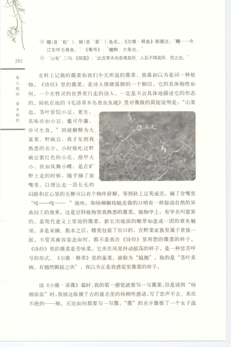 37.《美人如诗草木如织：诗经里的植物》[深圳一石编著][天津教育出版社][978-7-5309-4931-3][2007.7][P221]_绝版书_天涯系列_t涯_《天涯神贴去水印纯干货收藏版-汇总版》天涯的干货[pdf]