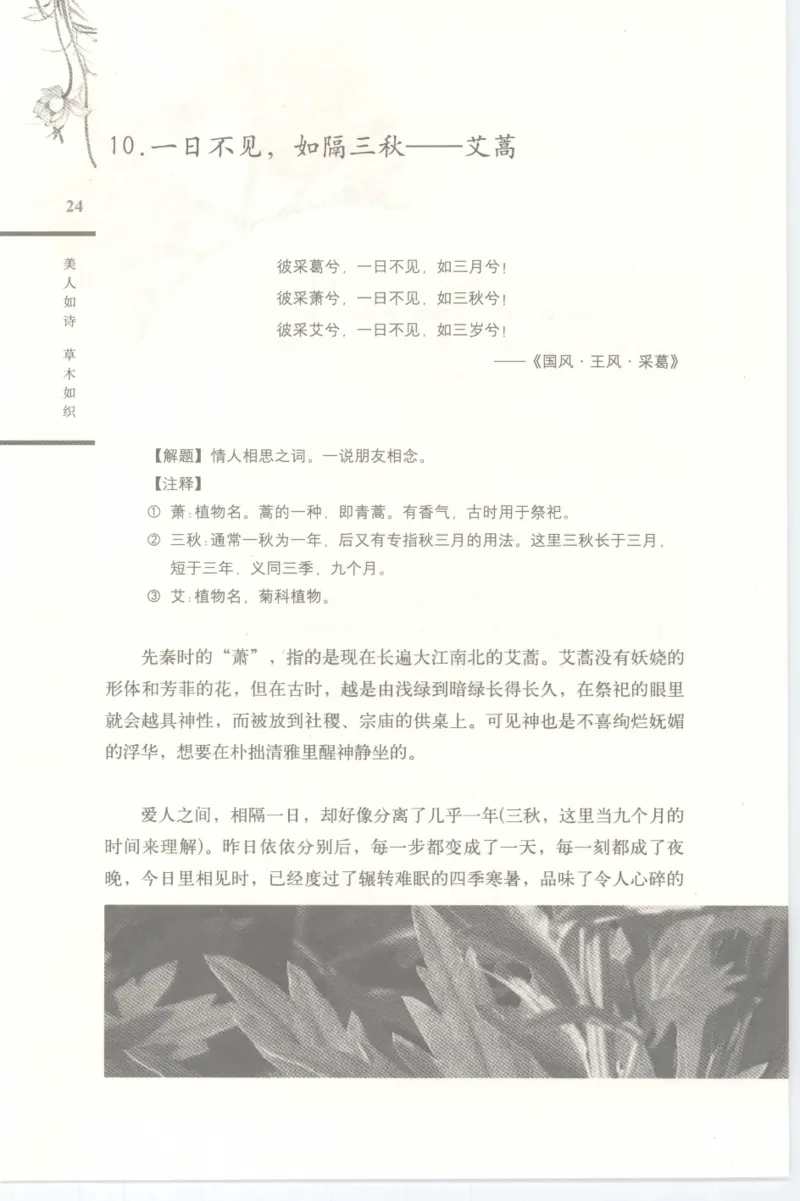 37.《美人如诗草木如织：诗经里的植物》[深圳一石编著][天津教育出版社][978-7-5309-4931-3][2007.7][P221]_绝版书_天涯系列_t涯_《天涯神贴去水印纯干货收藏版-汇总版》天涯的干货[pdf]