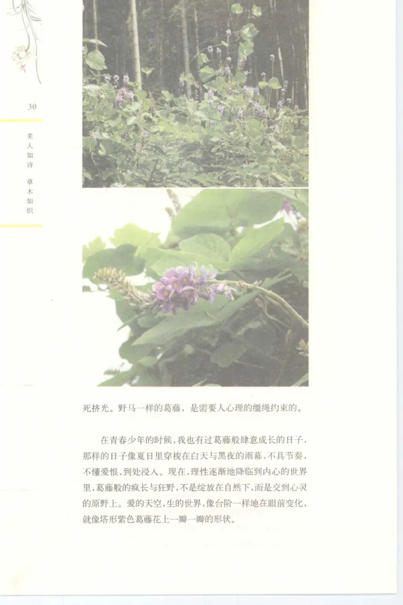 37.《美人如诗草木如织：诗经里的植物》[深圳一石编著][天津教育出版社][978-7-5309-4931-3][2007.7][P221]_绝版书_天涯系列_t涯_《天涯神贴去水印纯干货收藏版-汇总版》天涯的干货[pdf]