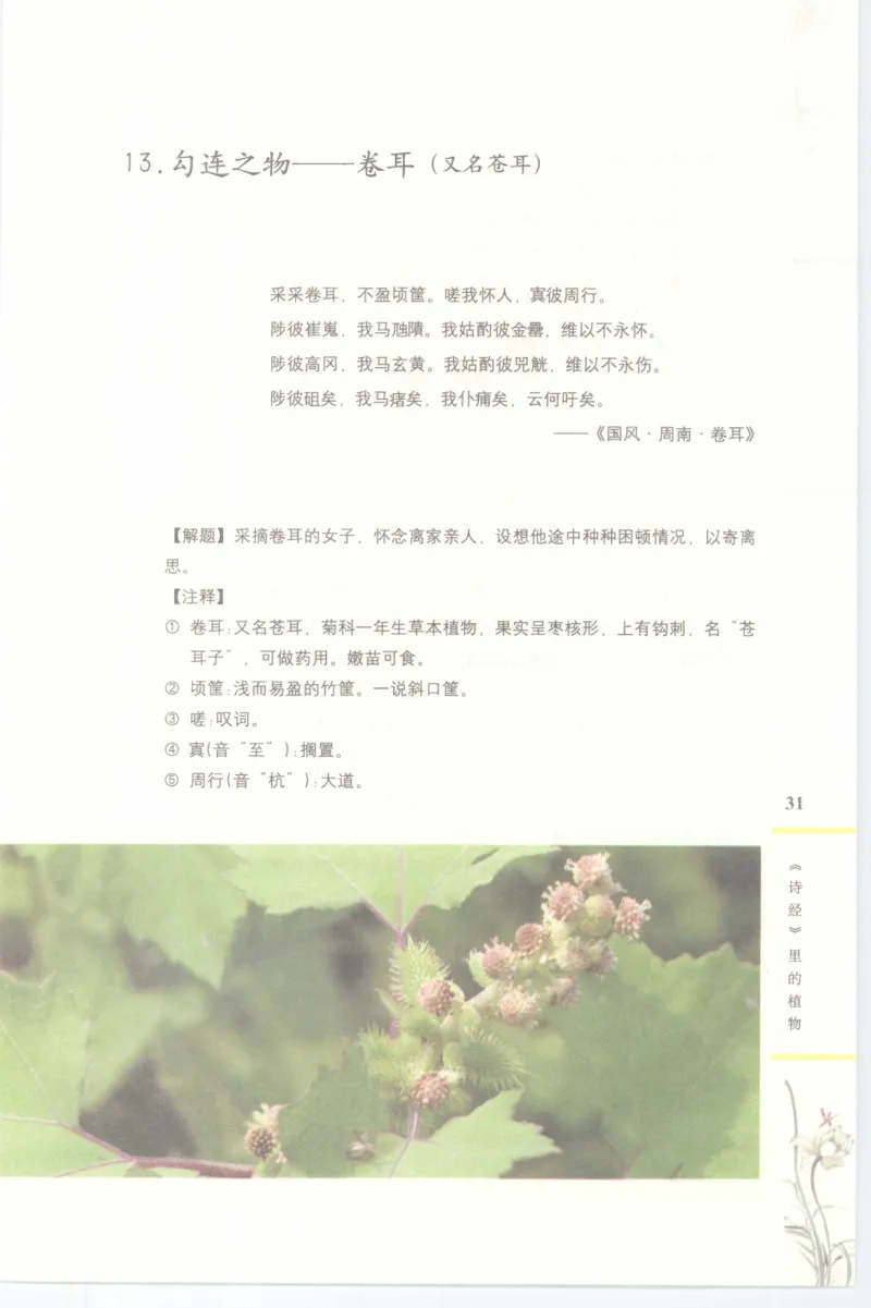 37.《美人如诗草木如织：诗经里的植物》[深圳一石编著][天津教育出版社][978-7-5309-4931-3][2007.7][P221]_绝版书_天涯系列_t涯_《天涯神贴去水印纯干货收藏版-汇总版》天涯的干货[pdf]