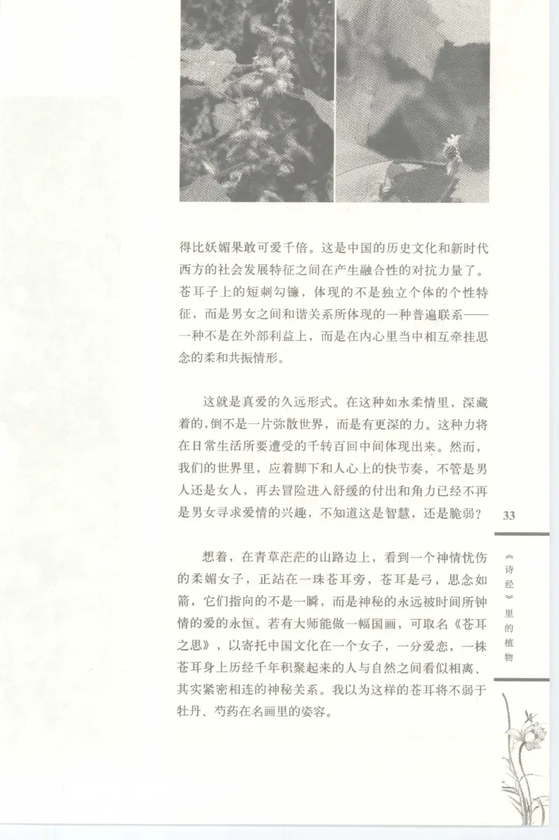 37.《美人如诗草木如织：诗经里的植物》[深圳一石编著][天津教育出版社][978-7-5309-4931-3][2007.7][P221]_绝版书_天涯系列_t涯_《天涯神贴去水印纯干货收藏版-汇总版》天涯的干货[pdf]