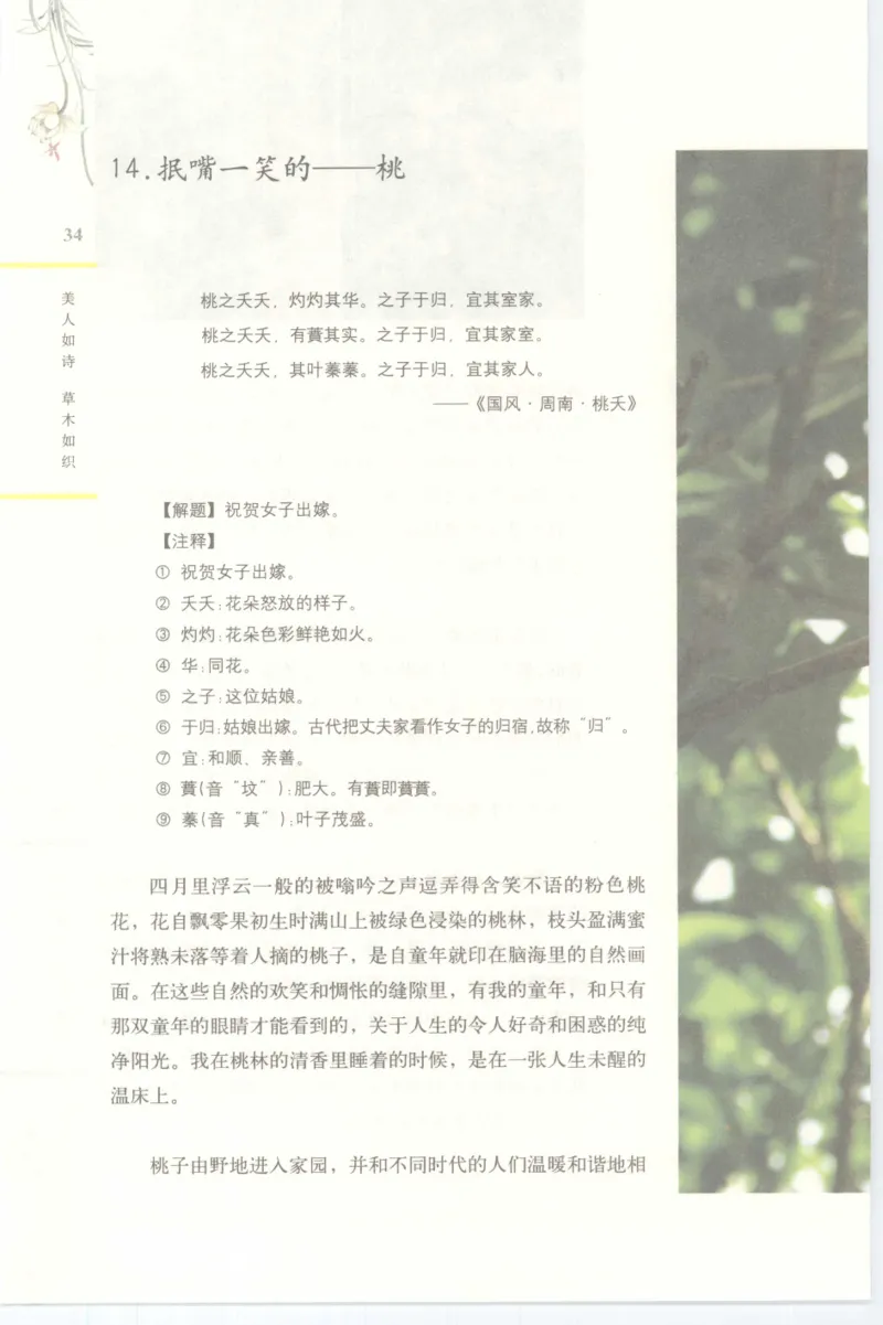 37.《美人如诗草木如织：诗经里的植物》[深圳一石编著][天津教育出版社][978-7-5309-4931-3][2007.7][P221]_绝版书_天涯系列_t涯_《天涯神贴去水印纯干货收藏版-汇总版》天涯的干货[pdf]