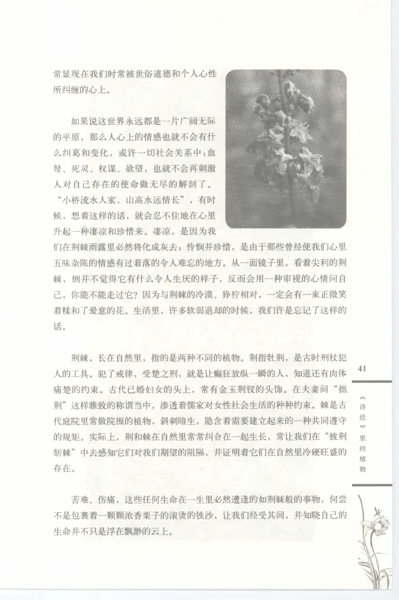 37.《美人如诗草木如织：诗经里的植物》[深圳一石编著][天津教育出版社][978-7-5309-4931-3][2007.7][P221]_绝版书_天涯系列_t涯_《天涯神贴去水印纯干货收藏版-汇总版》天涯的干货[pdf]