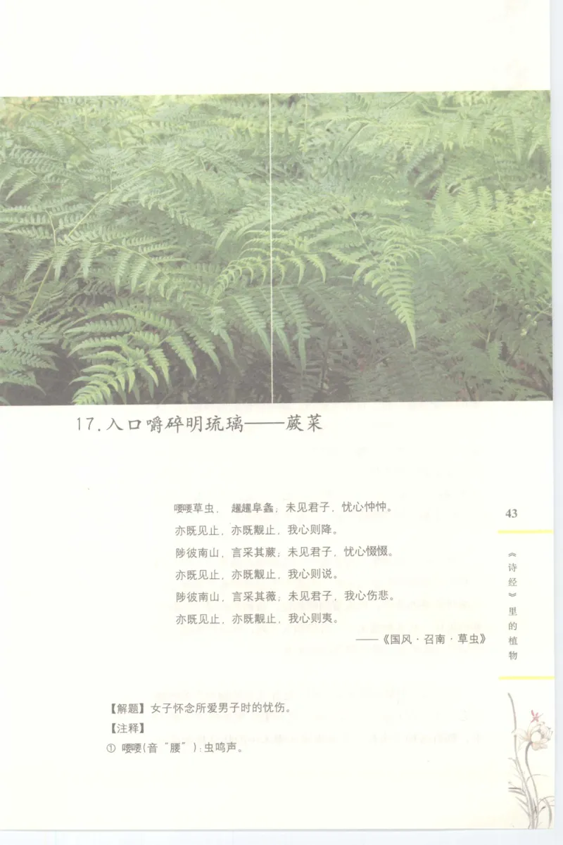 37.《美人如诗草木如织：诗经里的植物》[深圳一石编著][天津教育出版社][978-7-5309-4931-3][2007.7][P221]_绝版书_天涯系列_t涯_《天涯神贴去水印纯干货收藏版-汇总版》天涯的干货[pdf]