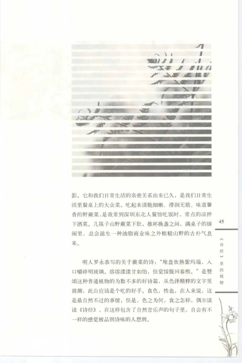 37.《美人如诗草木如织：诗经里的植物》[深圳一石编著][天津教育出版社][978-7-5309-4931-3][2007.7][P221]_绝版书_天涯系列_t涯_《天涯神贴去水印纯干货收藏版-汇总版》天涯的干货[pdf]