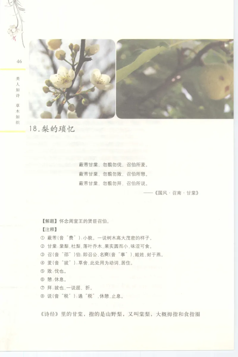 37.《美人如诗草木如织：诗经里的植物》[深圳一石编著][天津教育出版社][978-7-5309-4931-3][2007.7][P221]_绝版书_天涯系列_t涯_《天涯神贴去水印纯干货收藏版-汇总版》天涯的干货[pdf]