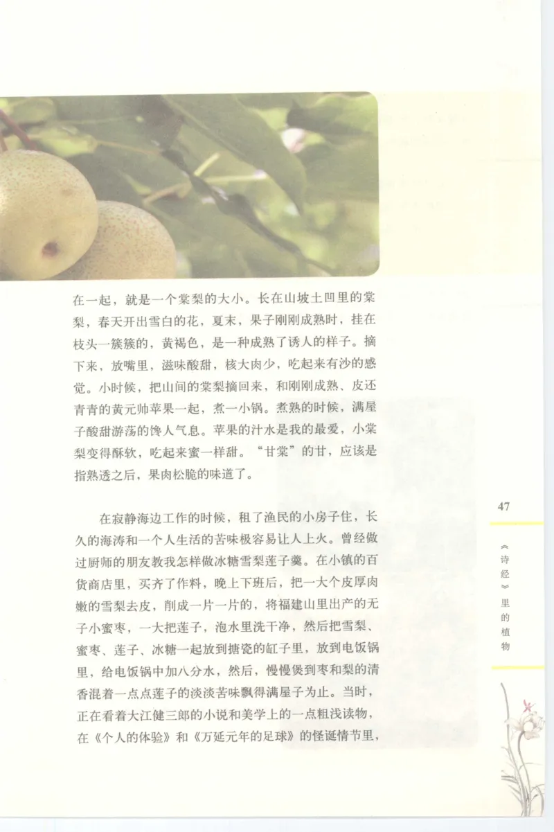 37.《美人如诗草木如织：诗经里的植物》[深圳一石编著][天津教育出版社][978-7-5309-4931-3][2007.7][P221]_绝版书_天涯系列_t涯_《天涯神贴去水印纯干货收藏版-汇总版》天涯的干货[pdf]