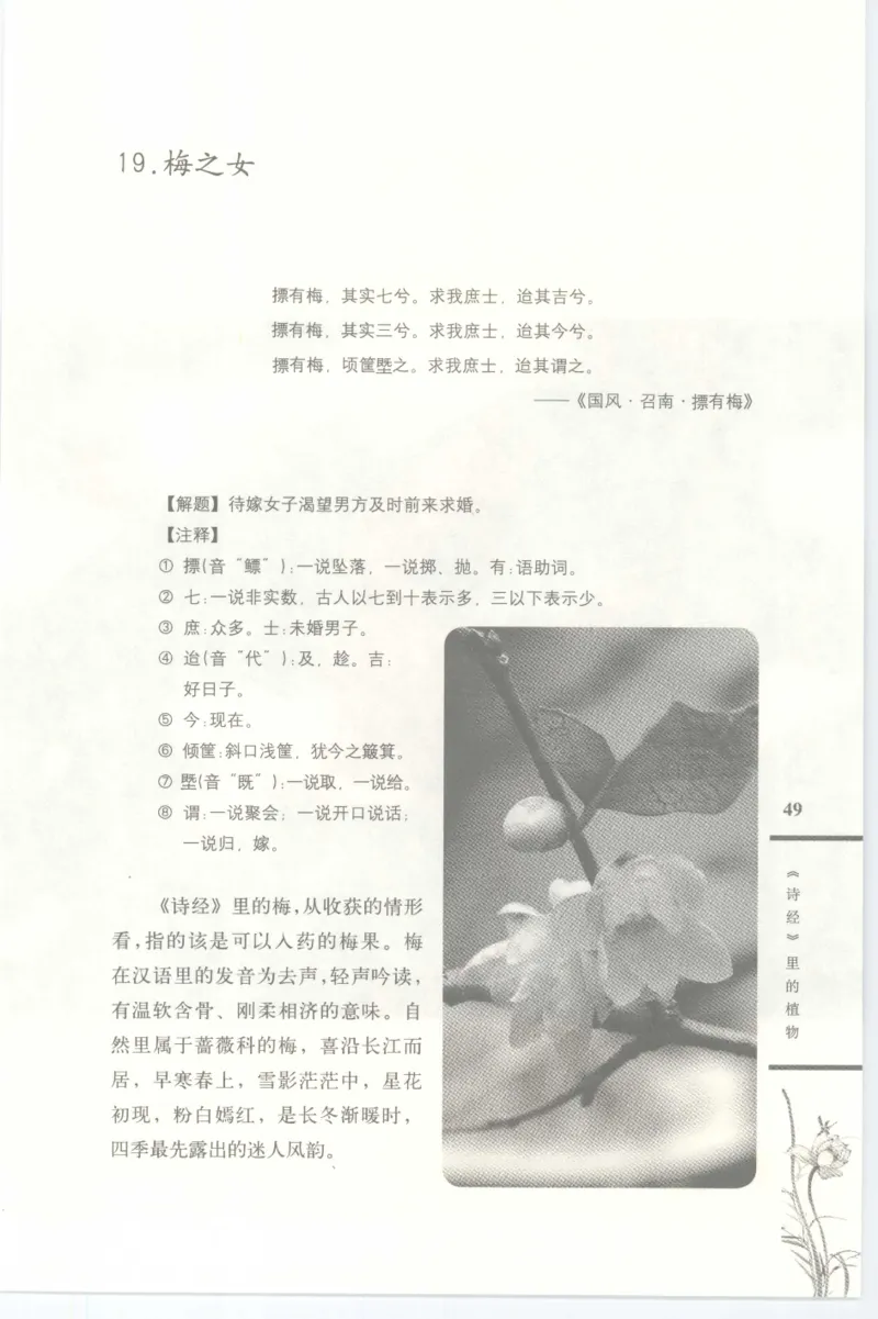 37.《美人如诗草木如织：诗经里的植物》[深圳一石编著][天津教育出版社][978-7-5309-4931-3][2007.7][P221]_绝版书_天涯系列_t涯_《天涯神贴去水印纯干货收藏版-汇总版》天涯的干货[pdf]