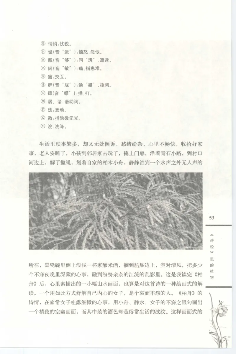 37.《美人如诗草木如织：诗经里的植物》[深圳一石编著][天津教育出版社][978-7-5309-4931-3][2007.7][P221]_绝版书_天涯系列_t涯_《天涯神贴去水印纯干货收藏版-汇总版》天涯的干货[pdf]