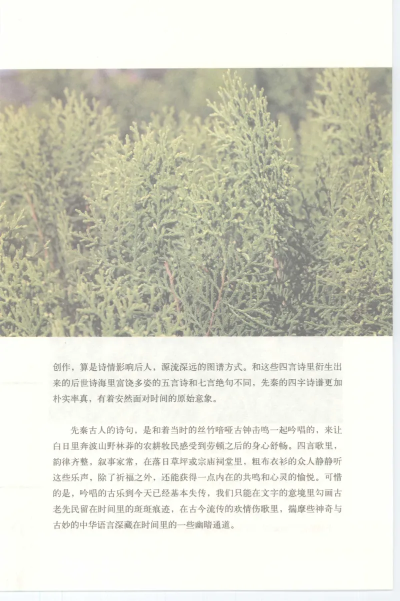 37.《美人如诗草木如织：诗经里的植物》[深圳一石编著][天津教育出版社][978-7-5309-4931-3][2007.7][P221]_绝版书_天涯系列_t涯_《天涯神贴去水印纯干货收藏版-汇总版》天涯的干货[pdf]