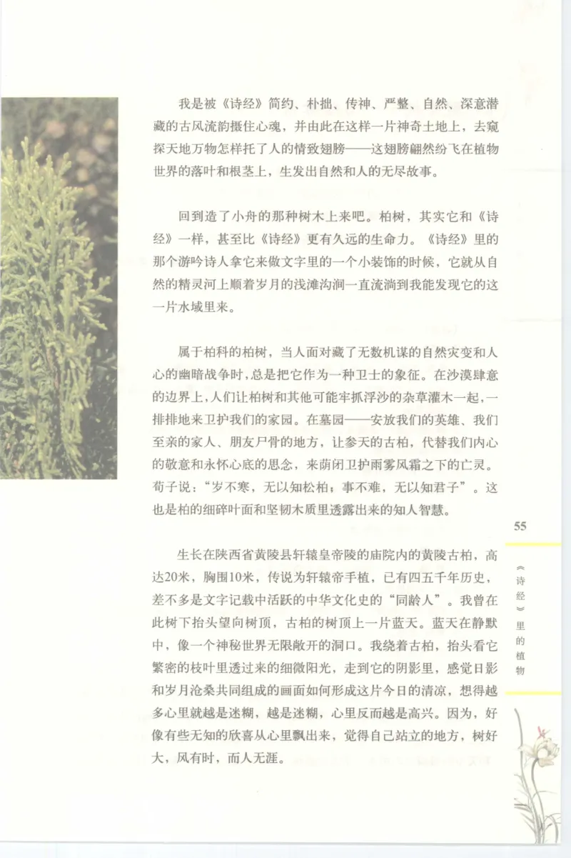 37.《美人如诗草木如织：诗经里的植物》[深圳一石编著][天津教育出版社][978-7-5309-4931-3][2007.7][P221]_绝版书_天涯系列_t涯_《天涯神贴去水印纯干货收藏版-汇总版》天涯的干货[pdf]