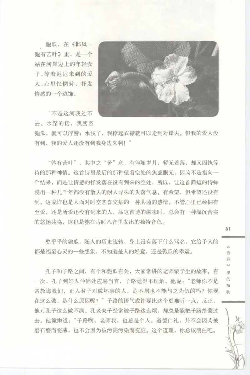 37.《美人如诗草木如织：诗经里的植物》[深圳一石编著][天津教育出版社][978-7-5309-4931-3][2007.7][P221]_绝版书_天涯系列_t涯_《天涯神贴去水印纯干货收藏版-汇总版》天涯的干货[pdf]